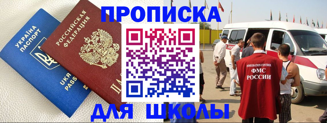 где прописаться в Светлогорске